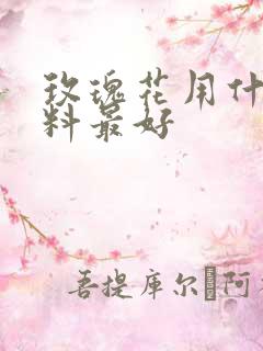 玫瑰花用什么肥料最好