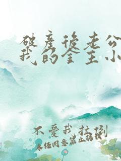 破产后老公成了我的金主小说