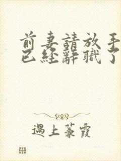 前妻请放手,我已经辞职了下载