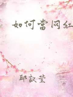 如何当网红赚钱