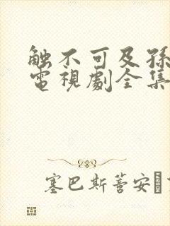 触不可及孙红雷电视剧全集观看