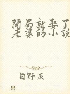 开局就娶了五个老婆的小说