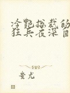 冷艳总裁的贴身狂兵夜深自呓