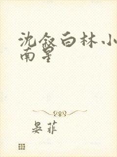 沈叙白林小婉苏南星