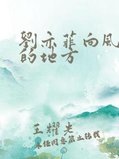 刘亦菲向风吹过的地方