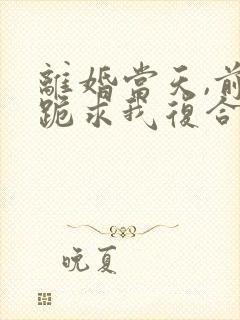 离婚当天,前夫跪求我复合短剧