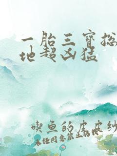 一胎三宝总裁爹地超凶猛