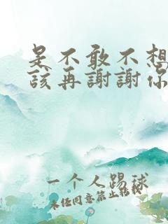 是不敢不想不应该再谢谢你的爱是什么歌