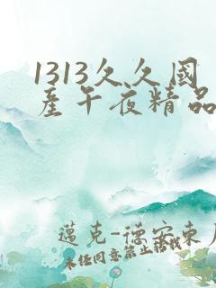 1313久久国产午夜精品理论片