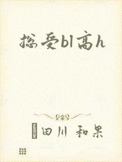 总受bl高h