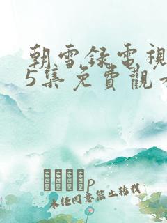 朝雪录电视剧25集免费观看