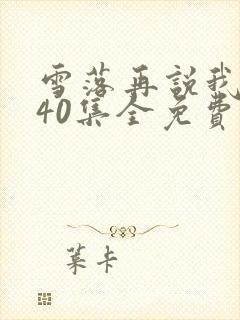 雪落再说我爱你40集全免费
