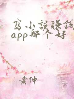 写小说赚钱软件app哪个好
