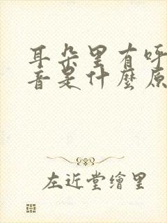 耳朵里有呼吸声音是什么原因