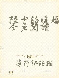陆少的暖婚新妻全免阅读