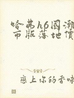 哈弗h6国潮都市版落地价