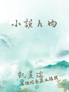 小说 h 肉
