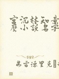 宫沉林知意是什么小说名字