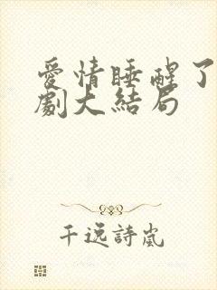 爱情睡醒了电视剧大结局