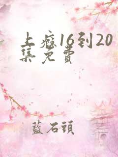 上瘾16到20集免费