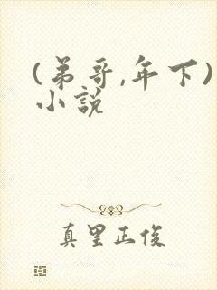(弟哥,年下)小说