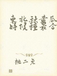 东北秋黄瓜什么时候种最合适