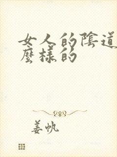 女人的阴道是什么样的