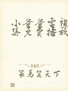 小爸爸电视剧全集免费播放