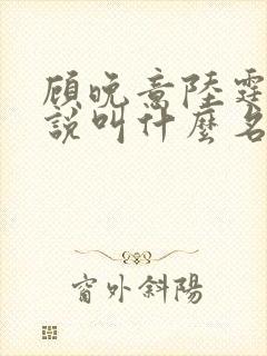 顾晚意陆霆之小说叫什么名字