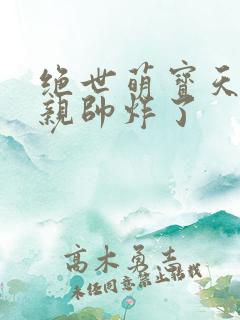 绝世萌宝天才娘亲帅炸了
