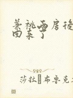 兼祧两房后夫君回来了