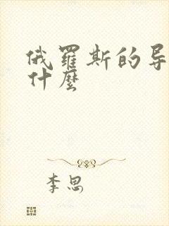俄罗斯的导航是什么