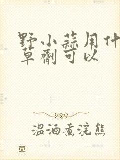 野小蒜用什么除草剂可以