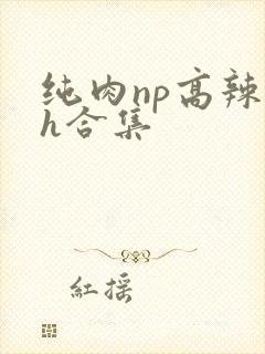 纯肉np高辣文h合集 纯肉np高辣文h合集