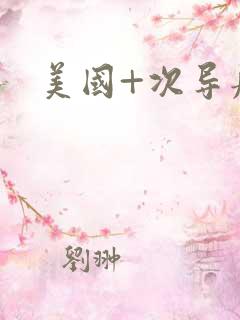美国+次导航