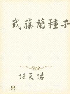 武藤兰种子
