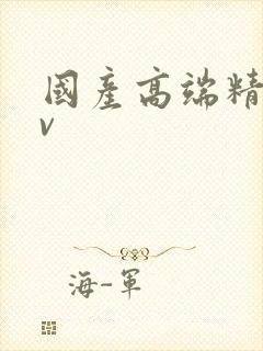 国产高端精品av