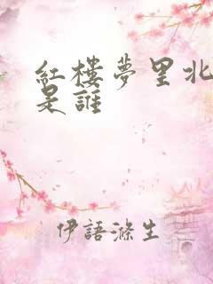 红楼梦里北静王是谁