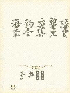 海豹突击队第六季全集免费观看高清版