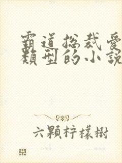 霸道总裁爱上我类型的小说