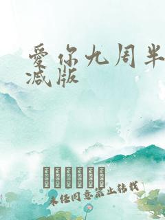 爱你九周半未删减版