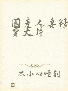 国产人妻精品免费大片