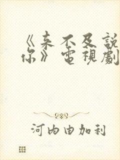 《来不及说我爱你》电视剧免费观看