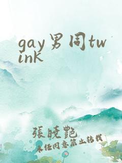 gay男同twink