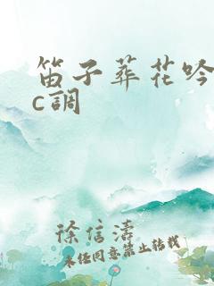 笛子葬花吟独奏c调