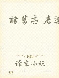 诸葛亮 老婆