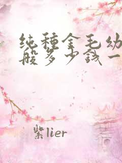 纯种金毛幼犬一般多少钱一只
