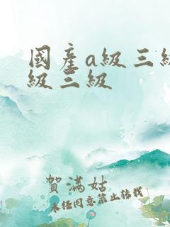 国产a级三级三级三级