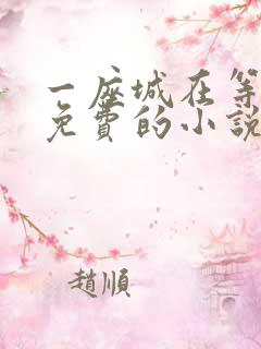 一座城在等你全免费的小说 一座城在等你全免费的小说