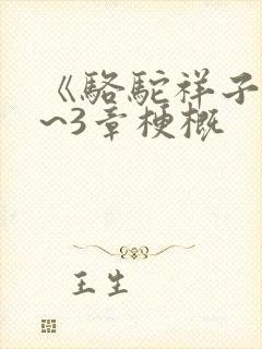 《骆驼祥子》1~3章梗概